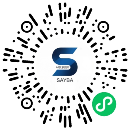 Sayba 小程序